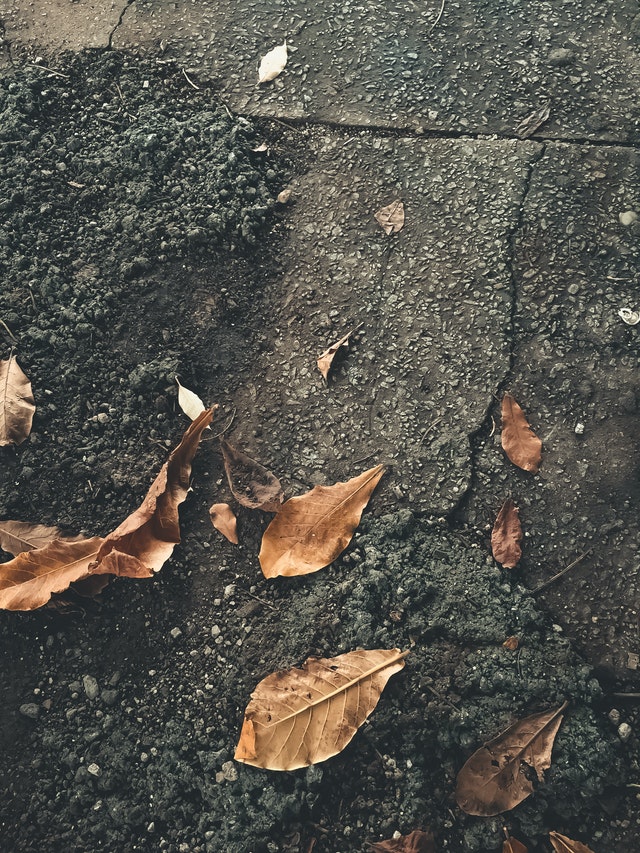 cracked asphalt