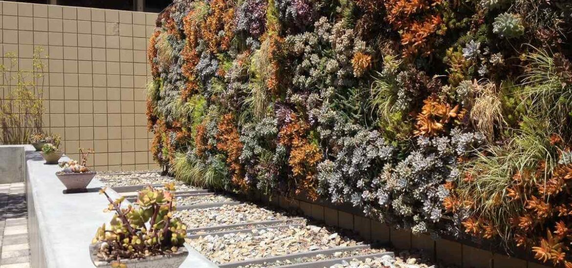 plant wall ideas