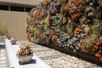 plant wall ideas