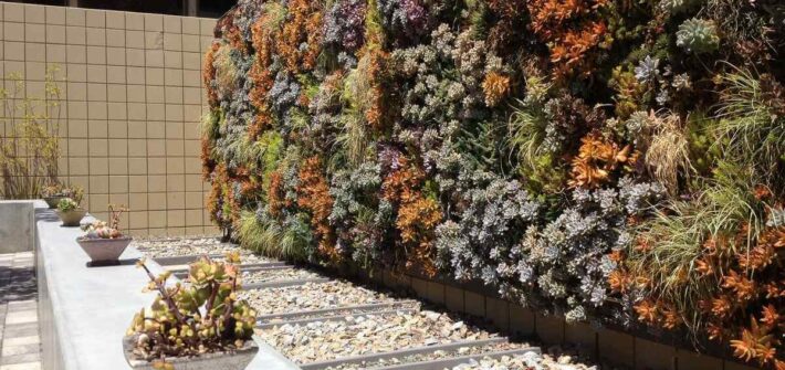 plant wall ideas